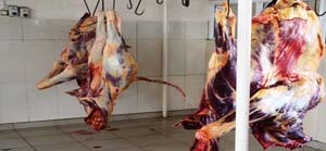 Abattoir municipal de Mahajanga-ok