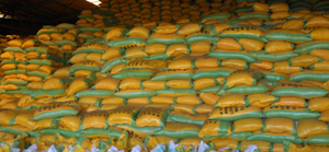 Magouille en haut lieu-ok