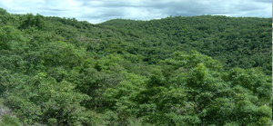 Protection de l'environnement-ok