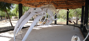 Sensibilisation environnementale-ok