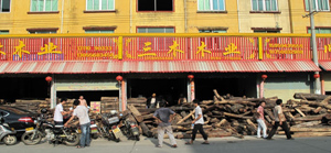 Lutte contre le trafic de bois-ok