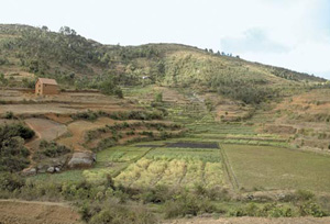 Menace sur les terres-ok